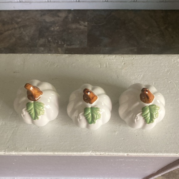 NWT- Set of 3- White- Green Leaf - Porcelain Glazed Fall Pumpkin Decorations 🍂 - Picture 7 of 16